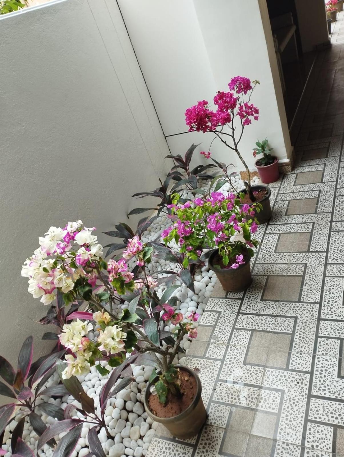 Annai Residency Hotel Vellore Exterior foto